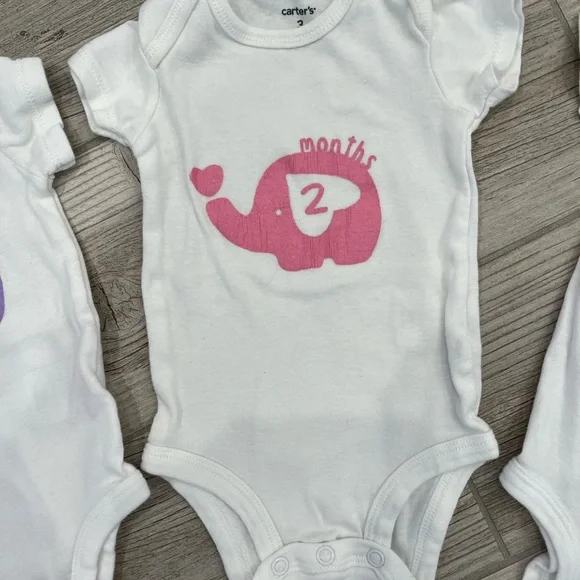 Baby elephant milestone onesies hand painted months 1-9